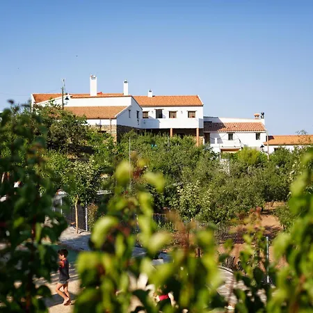 Family House With Farm The Curious *